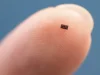Texas Instruments lanza un chip diminuto, el microcontrolador más pequeño del mundo Primer plano de la yema de un dedo con un microchip extremadamente pequeño colocado sobre ella. El microchip es de color oscuro y tiene varias conexiones metálicas visibles en su superficie. El fondo es un color azul uniforme, resaltando el tamaño diminuto del componente electrónico en comparación con la piel humana.