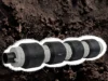 Robots inspirados en lombrices para la instalación de líneas eléctricas subterráneas Robot cilíndrico con cuatro anillos gruesos espaciados uniformemente, diseñado para imitar el movimiento de una lombriz de tierra. La estructura combina materiales en tonos negros y grises, con un fondo de suelo terroso que refuerza su propósito de exploración subterránea.