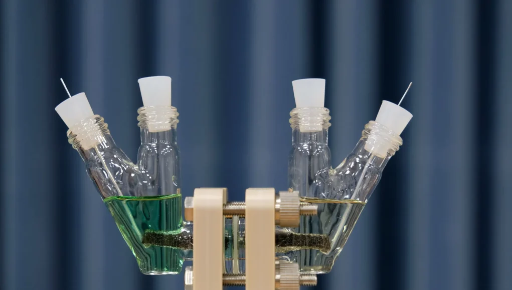 Dos frascos de vidrio inclinados montados en una plataforma metálica, cada uno con una sustancia líquida de distinto color: el de la izquierda contiene un líquido verde y el de la derecha un líquido transparente. Ambos están sellados con tapones blancos y conectados a través de un sistema con tornillos, frente a un fondo de cortinas azules.