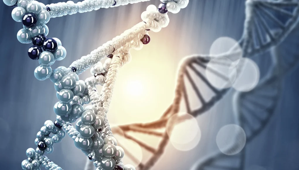 Representación artística de una doble hélice de ADN en primer plano, formada por esferas brillantes, con otra cadena de ADN difuminada al fondo y un resplandor de luz en el centro.