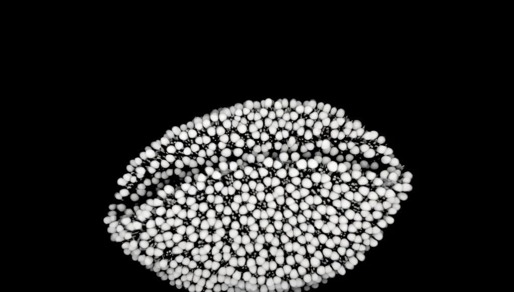Conjunto denso de esferas blancas conectadas por finos enlaces negros, formando una estructura orgánica ovalada sobre fondo negro. La imagen recuerda a una simulación 3D de partículas o una representación generada por IA de una forma biológica, como una cápsula de polen.