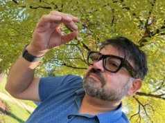 Dos días con las Meta Ray-Ban te hacen sentir como un mago moderno Hombre de barba y gafas grandes de color negro aparece en primer plano, levantando la mano con una pulsera electrónica en la muñeca. Está al aire libre, con un fondo de hojas verdes iluminadas por la luz del sol.