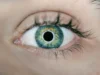 ¡Milagro médico! Primera córnea impresa en 3D devuelve la vista a un paciente legalmente ciego Un ojo humano con iris de tonos azules, verdes y amarillos. La pupila refleja un anillo de luz, y se aprecian con detalle las pestañas y la textura de la piel alrededor.